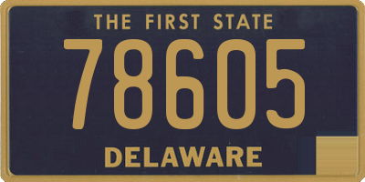 DE license plate 78605