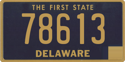 DE license plate 78613