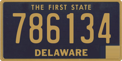 DE license plate 786134
