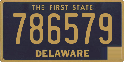 DE license plate 786579