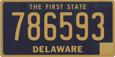 DE license plate 786593