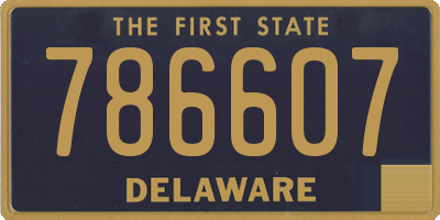 DE license plate 786607
