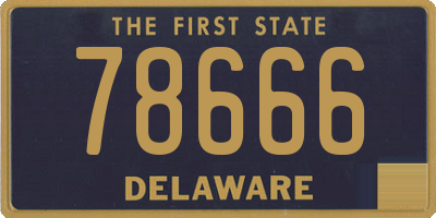 DE license plate 78666