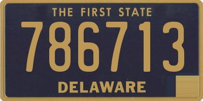 DE license plate 786713