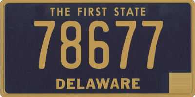 DE license plate 78677