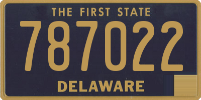 DE license plate 787022