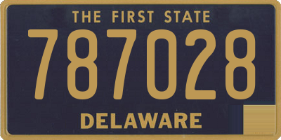 DE license plate 787028