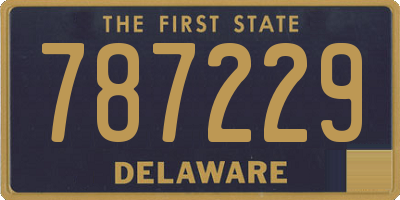 DE license plate 787229