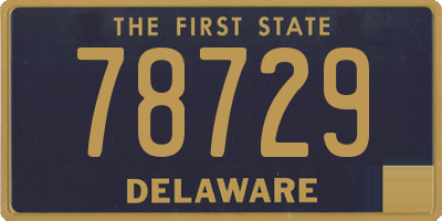 DE license plate 78729