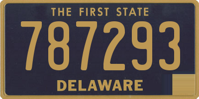DE license plate 787293