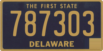 DE license plate 787303