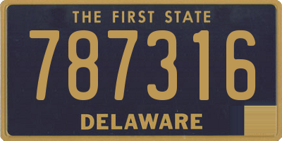 DE license plate 787316