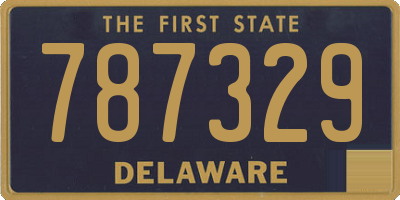 DE license plate 787329