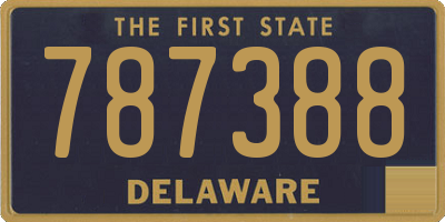 DE license plate 787388
