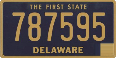 DE license plate 787595