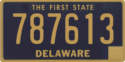 DE license plate 787613