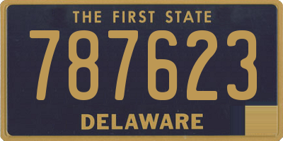 DE license plate 787623