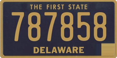 DE license plate 787858
