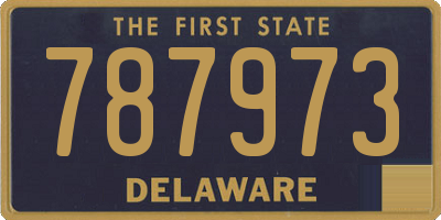 DE license plate 787973