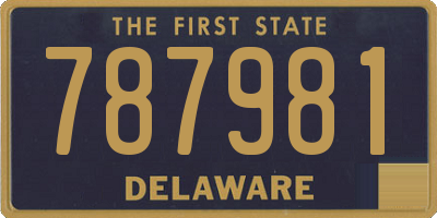DE license plate 787981