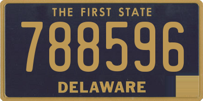 DE license plate 788596