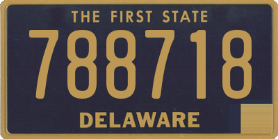DE license plate 788718