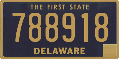 DE license plate 788918