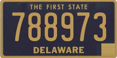 DE license plate 788973