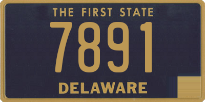 DE license plate 7891