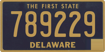 DE license plate 789229