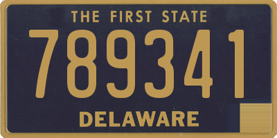 DE license plate 789341