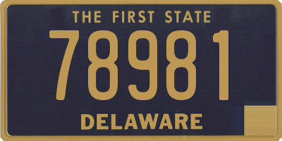 DE license plate 78981