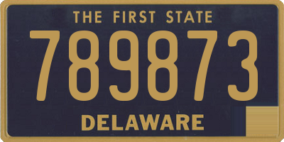 DE license plate 789873