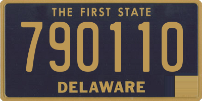 DE license plate 790110