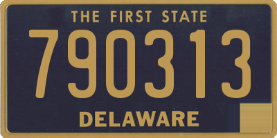 DE license plate 790313