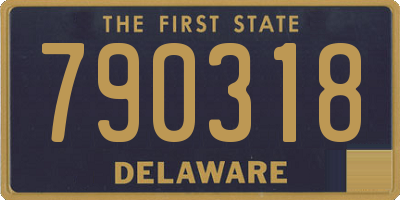 DE license plate 790318