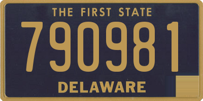 DE license plate 790981