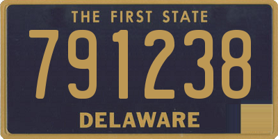 DE license plate 791238