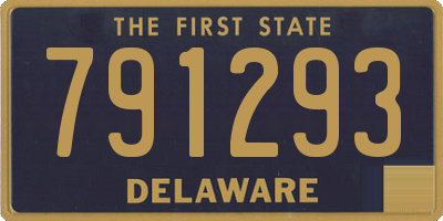 DE license plate 791293