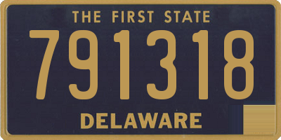 DE license plate 791318