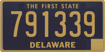 DE license plate 791339