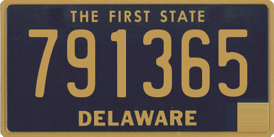 DE license plate 791365
