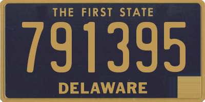 DE license plate 791395