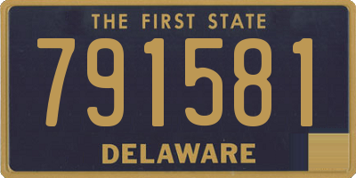 DE license plate 791581