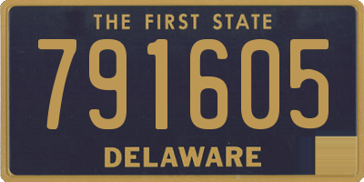DE license plate 791605