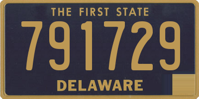 DE license plate 791729