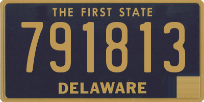 DE license plate 791813