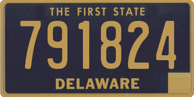 DE license plate 791824