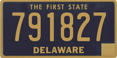 DE license plate 791827