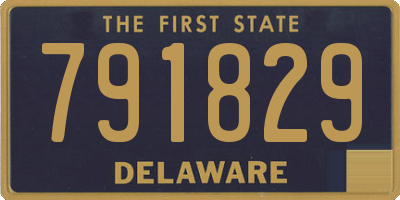 DE license plate 791829
